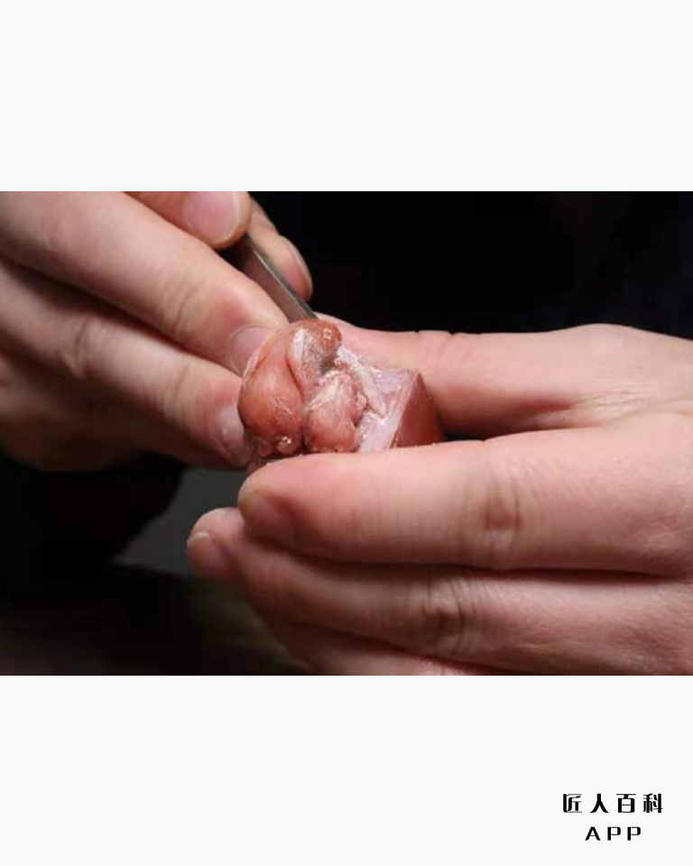 |一寸石一寸意,一刀刻一刀情——石君与寿山石