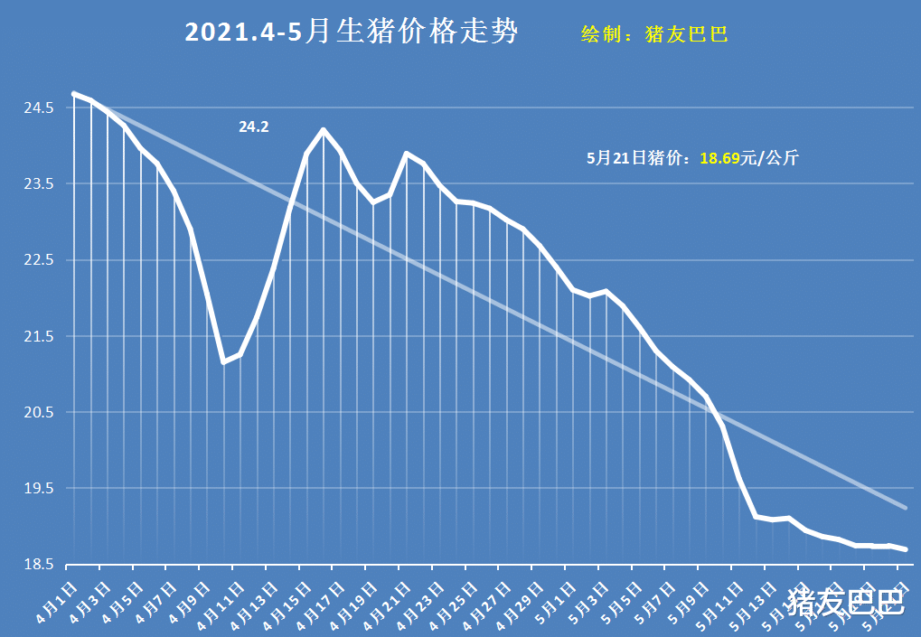 生猪价格 再跌！5月21日猪价跌势复现，咋解释？养殖户：会不会大跌！