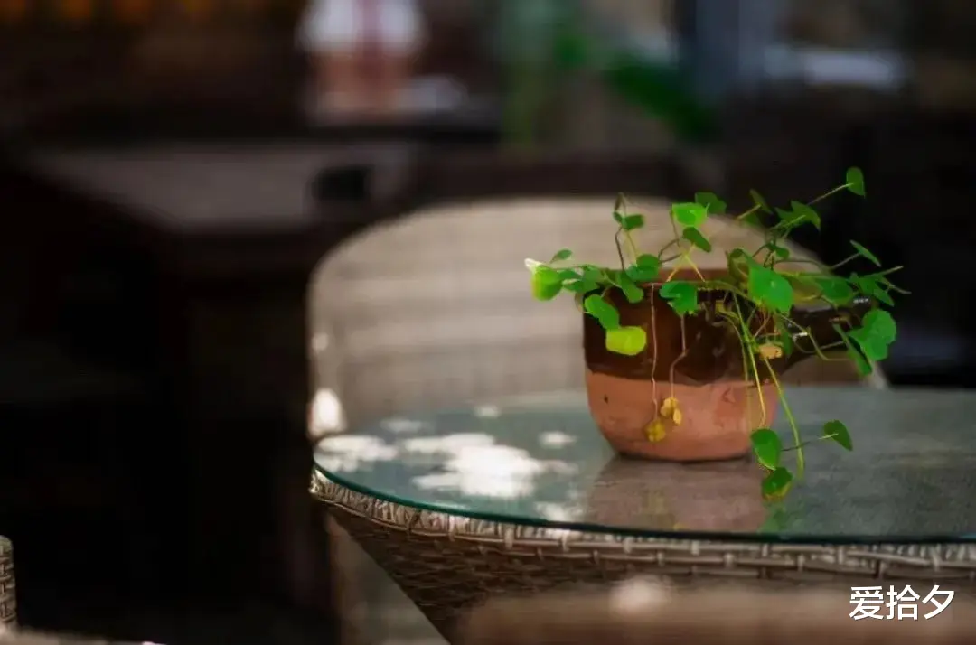 爱拾夕 过了四十岁,我劝你做一个自私的女人