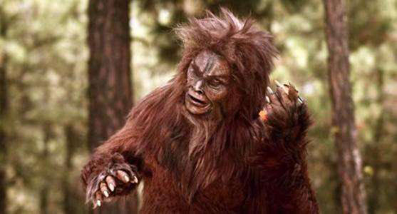  释疑解惑：神农架野人是恐怖传说还是真的存在？