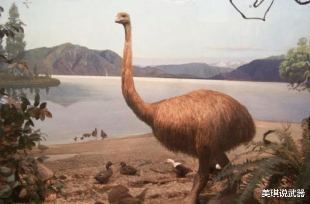  世界著名的3场灾难，其中一场在中国，至今都是未解之谜