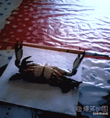 “ 一直以为这个洞洞是放手指的...现在才发现错了,哈哈哈太沙雕了~”