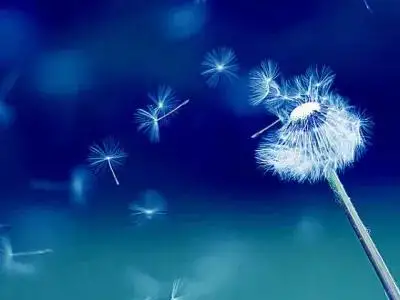 凡人凡举凡思|物来则应，过去不留——活着，别让爱恨把自己弄丢了