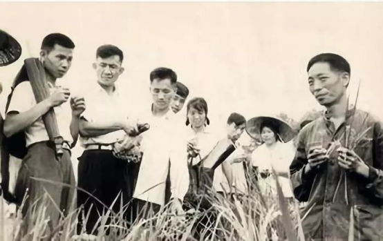 袁隆平|袁隆平家人首次亮相：妻子身份背景罕见曝光，3个儿子也个顶个牛