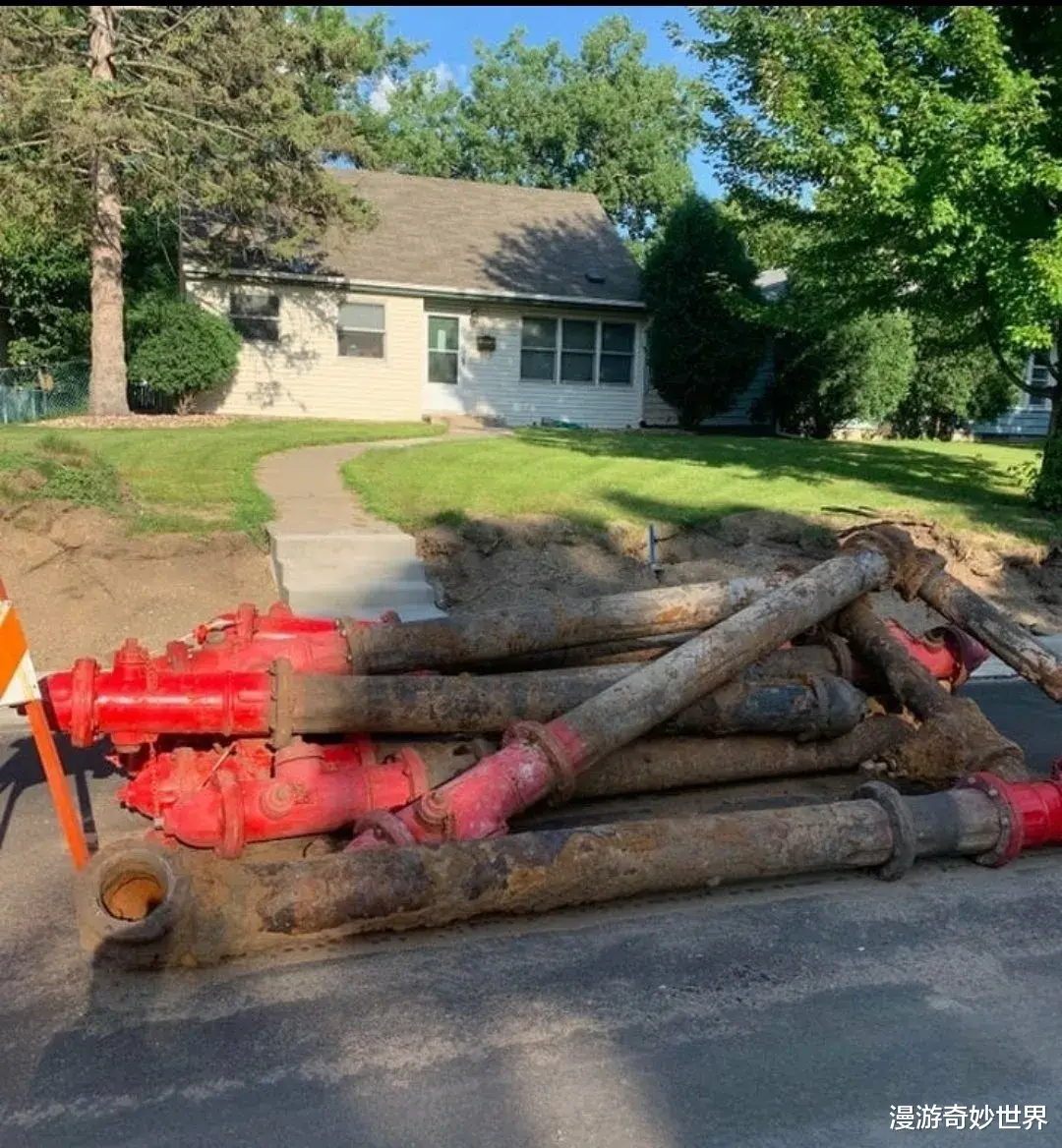 漫游奇妙世界|换个角度看世界,认知被完全颠覆了!