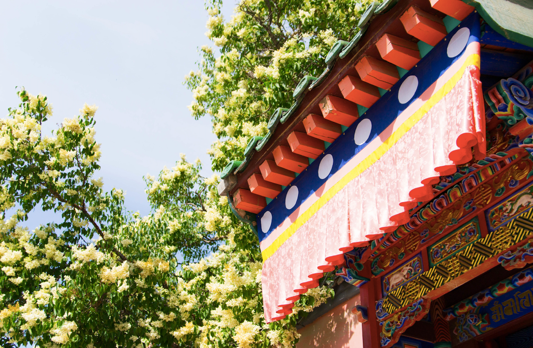 西宁|被预言下一个“瑞士”，这个夏日均温20°C的宝藏地，刘昊然都来打卡！