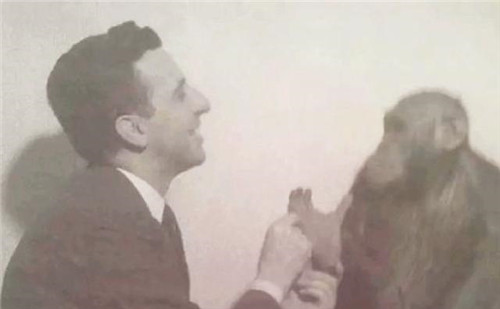 医学|诺贝尔奖的耻辱：1949年的医学奖获得者，成30万人永无休止的噩梦