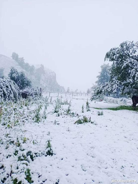 拉尼娜 冷冬标志性事件到来？NOAA确认拉尼娜80%，今年冬天究竟有多冷？