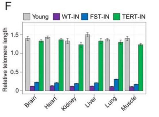 时光派|可以吸的“长寿药”？每月1次，小鼠延寿40%，震惊哈佛抗衰专家！