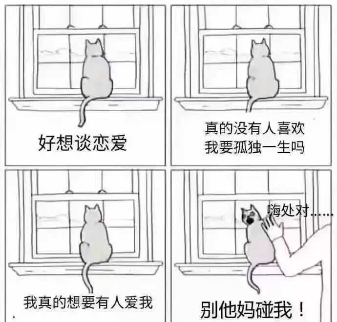 仲仲念念|”32岁女博士要求另一半年入200W”，当代人单身的真相？