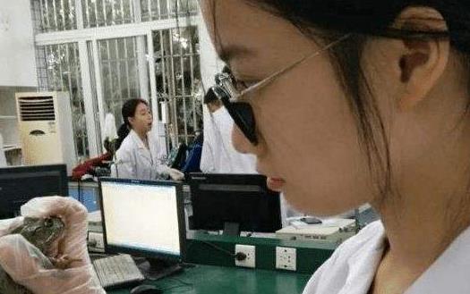 医学生|大一女医学生充分展现“初生牛犊不怕虎”，男同学们都避之不及