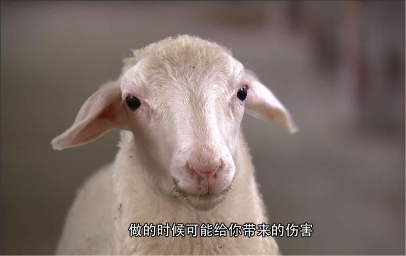 她,学播音主持,大学期间买宝马,毕业已赚100万,如今赚得更多