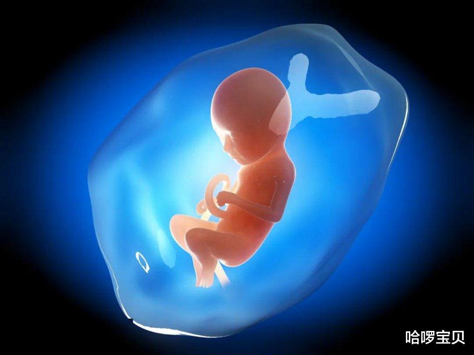 哈啰宝贝|有胎动啦！欣喜宝宝在肚子里“手舞足蹈”时，这一点别忘了监测