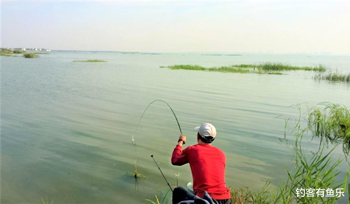 |夏季用这两种饵料钓鱼,不但能钓大鱼,还可防止小杂鱼闹窝