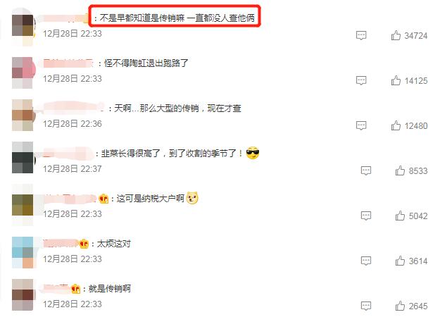 秦岚|又一对明星夫妇出事！身家300亿的背后，竟藏着骗局