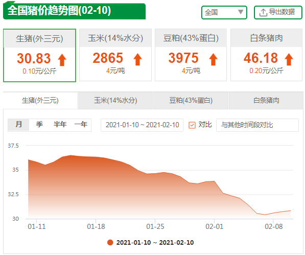 生猪价格 2月10日生猪价格，饲料涨了，仔猪涨了，年后生猪价格啥形势