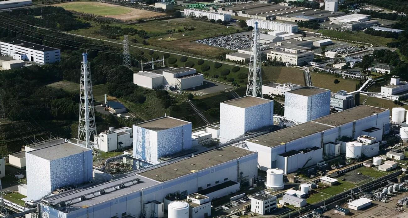 植物 科学家：多地冰川放射性物质10倍高，地球升温或被释放出