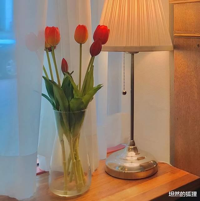 坦然的狐狸|最美的感情，是你不说，他却懂你