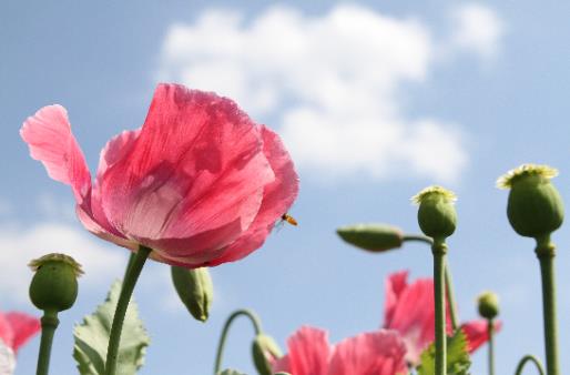 穿衣搭配|这四大属相的人,10月赢得胜利,年底更有福禄上门