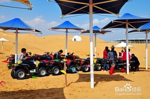 舜网 涨知识：为什么在沙漠中渴死的骆驼是不能碰的？