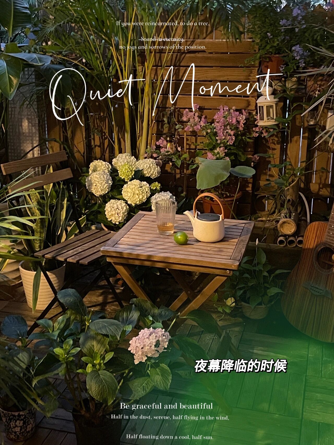 |坚持买了，郊区67㎡一楼带院子的房子，过养花养狗的神仙日子