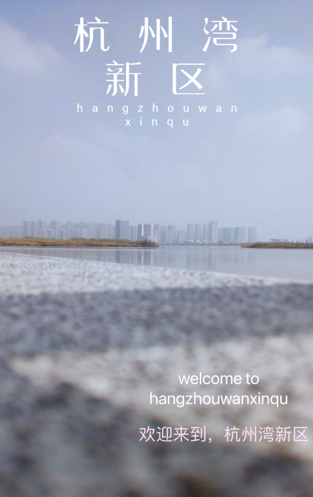 雾里看房市 您好，我是杭州湾新区，这是我的最新简历