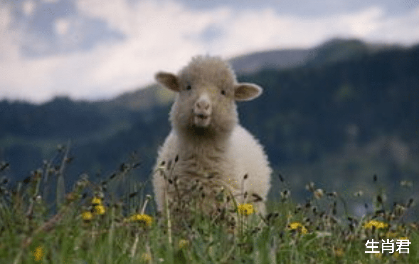 工业机器人系统操作员|阳光总在风雨后，属羊人历经千辛万苦，终于在职场中站稳脚跟