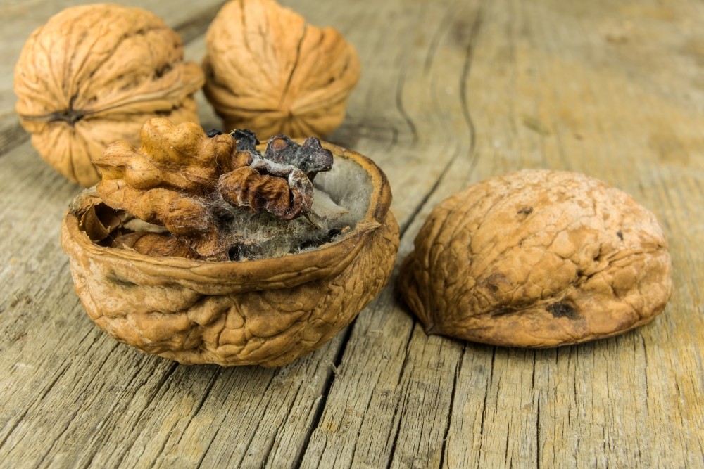 健康资讯分享 每天“一把”是福，“两把”却是祸！适量而行别多吃乱吃！