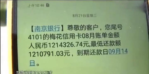 舜网 男子信用卡消费20万以后进去了，刑满释放后需要还120万……