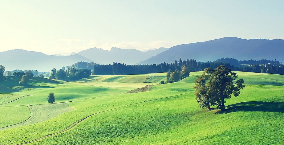 交易 期货交易中能盈利的原则多是简单朴实的