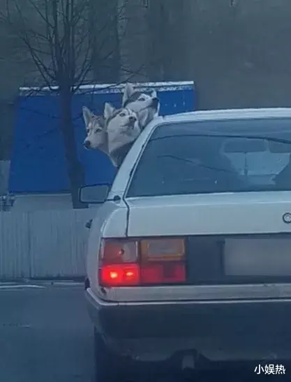 小娱热 女辅警与9名公职人员发生关系敲诈370万:有所长院长副局长……