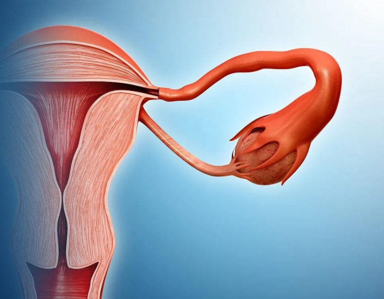 宫颈癌|5类女性，可能是宫颈癌的“候选人”，若你都不属于，那恭喜了