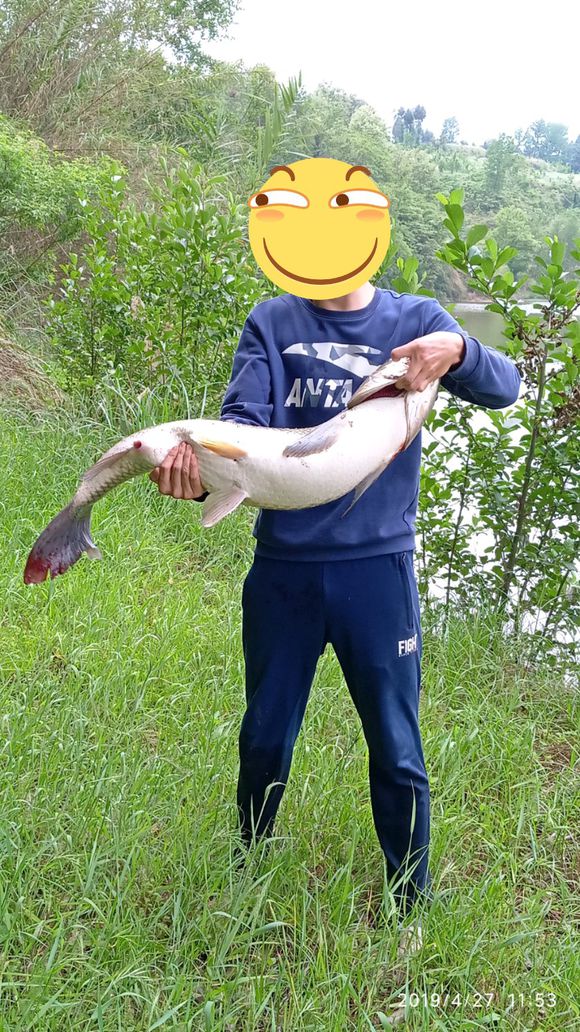 |只有钓大鱼，才能体验完整的垂钓乐趣