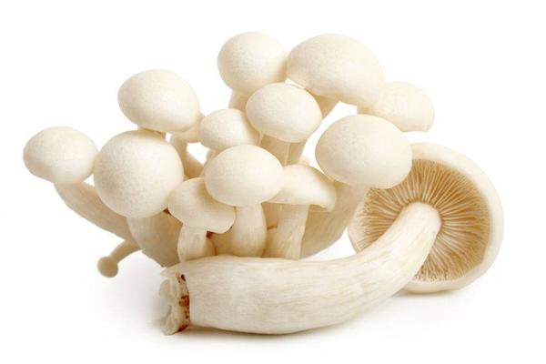 痛经|血管一堵全身都危险！这4个通血管高手，预防血栓，远离脑梗