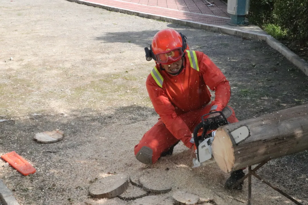 国防部|冬季大练兵丨不畏严寒提素质，突出实战砺精兵