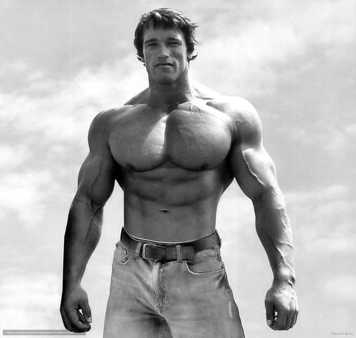 奔跑吧兄弟|施瓦辛格的俩儿子，健身和不健身，差别一看便知