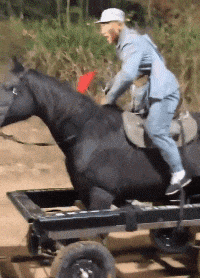 动物庄园|清朝也没有手机，那些王爷是怎么打发时间的？