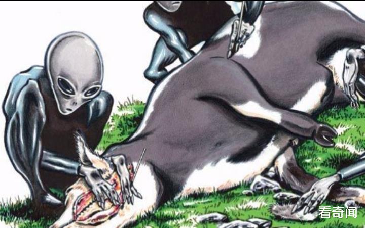警察|上千头牛离奇被杀，死法诡异无人能解，千古奇案……