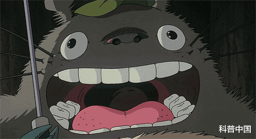 牙周炎|长期不刷牙会引发肺炎?确有关系!牙周炎竟与这么多全身疾病有关