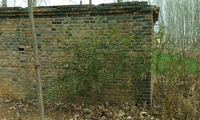 绿电 为什么现在一下雨就成灾?