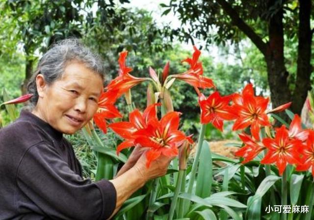 小可爱麻麻|长大“孝顺”的孩子,小时候大多有这3个特征,家长不妨对照下