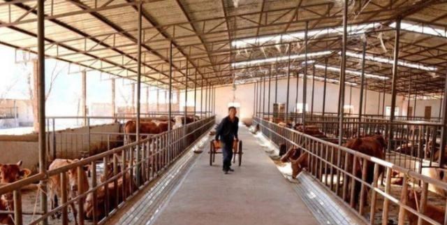 若珍|环保禁养开始执行,谁养就拆谁罚谁?这3类养殖户被“点名”