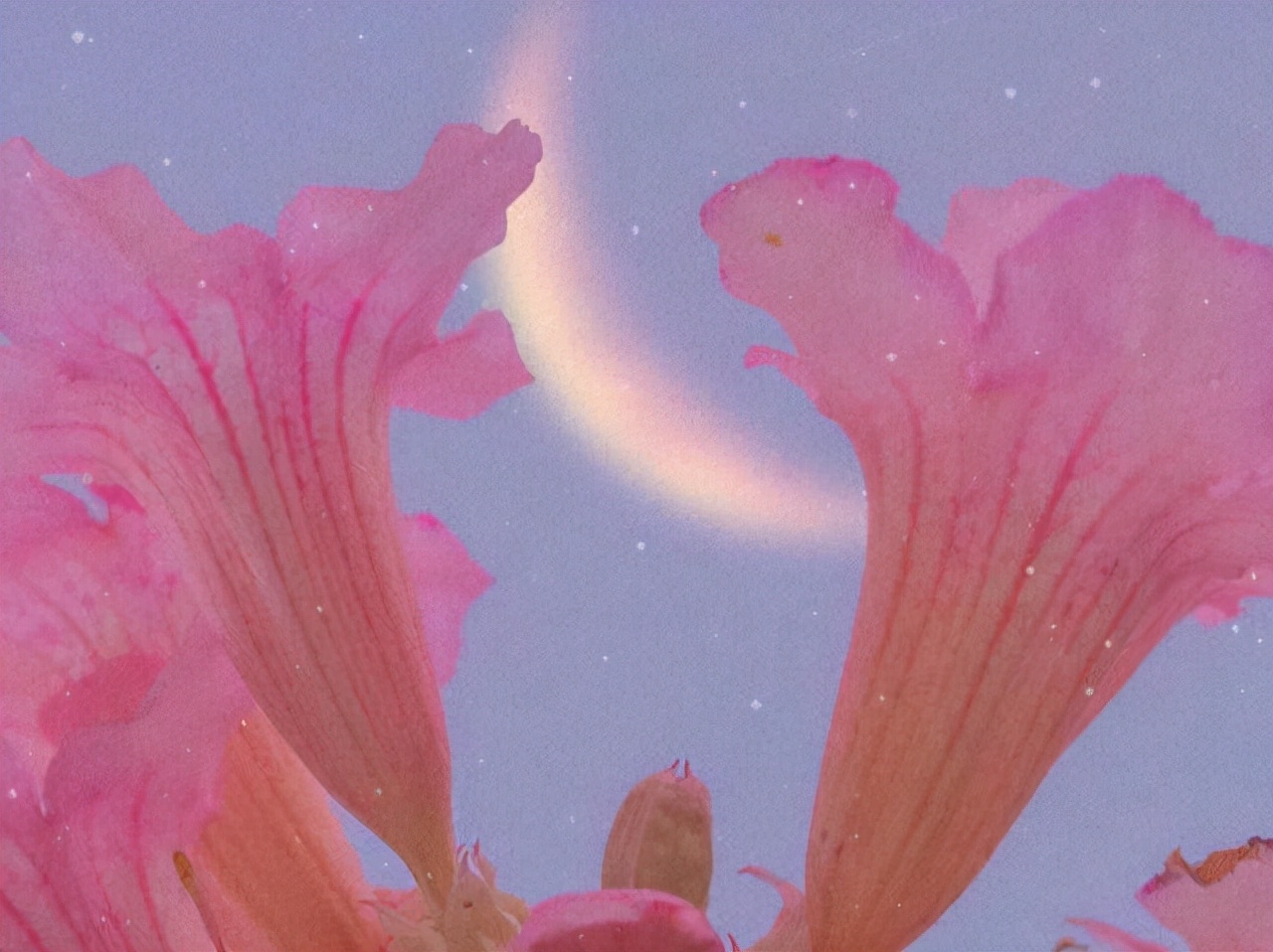 星座师安达|感情中的行动派，不会乱想的星座，有什么就说，没有隔夜仇