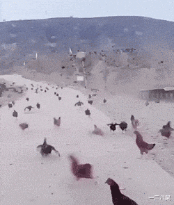 小姐姐|搞笑GIF: 这办公室是没别人了吗？ 哈哈哈