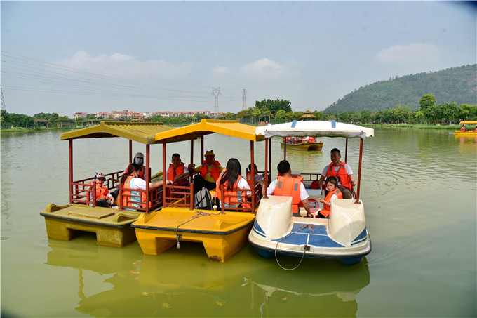 指动传媒 摘桑果,放鱼苗,乘画舫,清明假期佛山渔耕粤韵踏青摘果忙