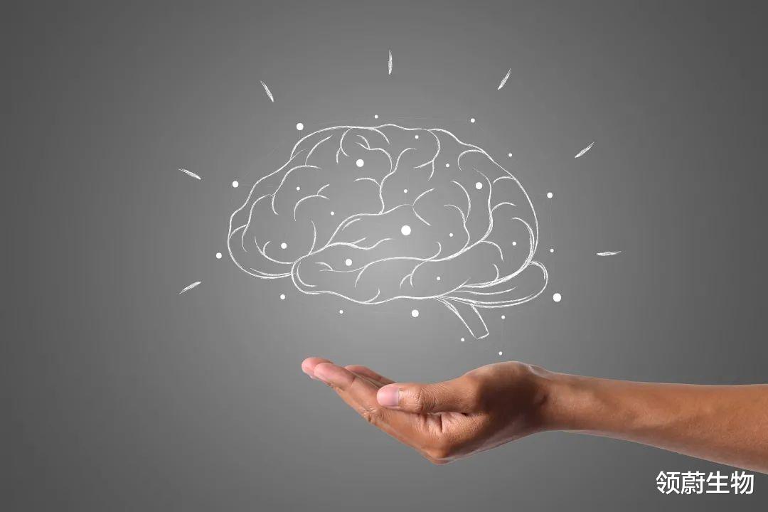  神经炎症是阿尔兹海默症发展关键上游机制！或推动新疗法面世