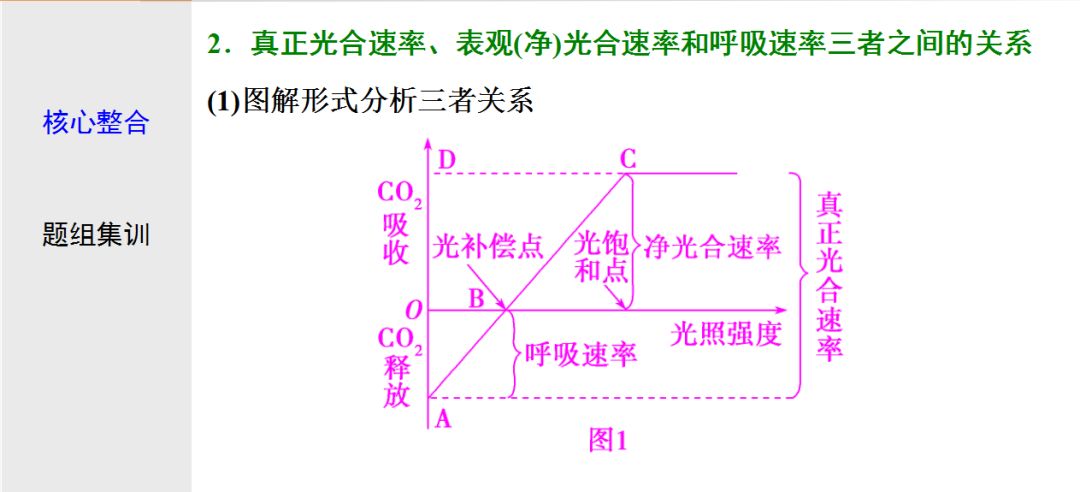 初中生物:光合作用与细胞呼吸知识点详解!