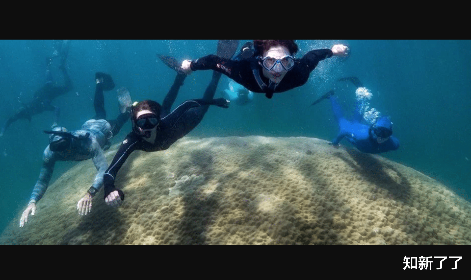 潘建伟 拥有400年历史的巨型珊瑚是大堡礁有史以来最宽的珊瑚