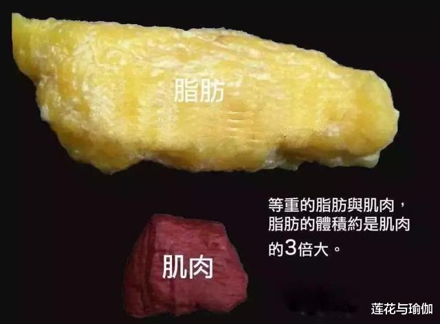 减肥不是单纯地降低体重，关注身体的3个指标，健康的“瘦”下去
