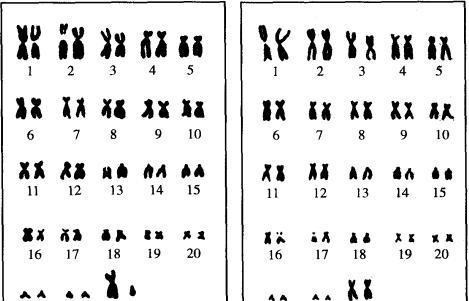 基因 人去世后要经过火化处理，基因作为遗传物质，火化后去哪了？